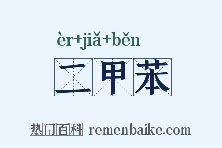 二甲苯是什么意思的图片